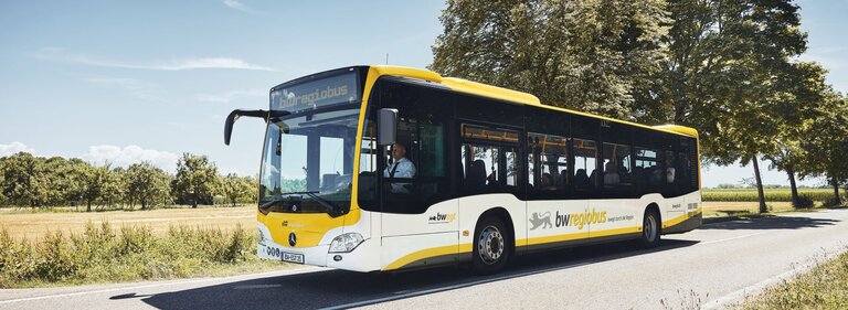 Ein Regiobus im gelb-weißen Landesdesign fährt auf einer Landstraße.